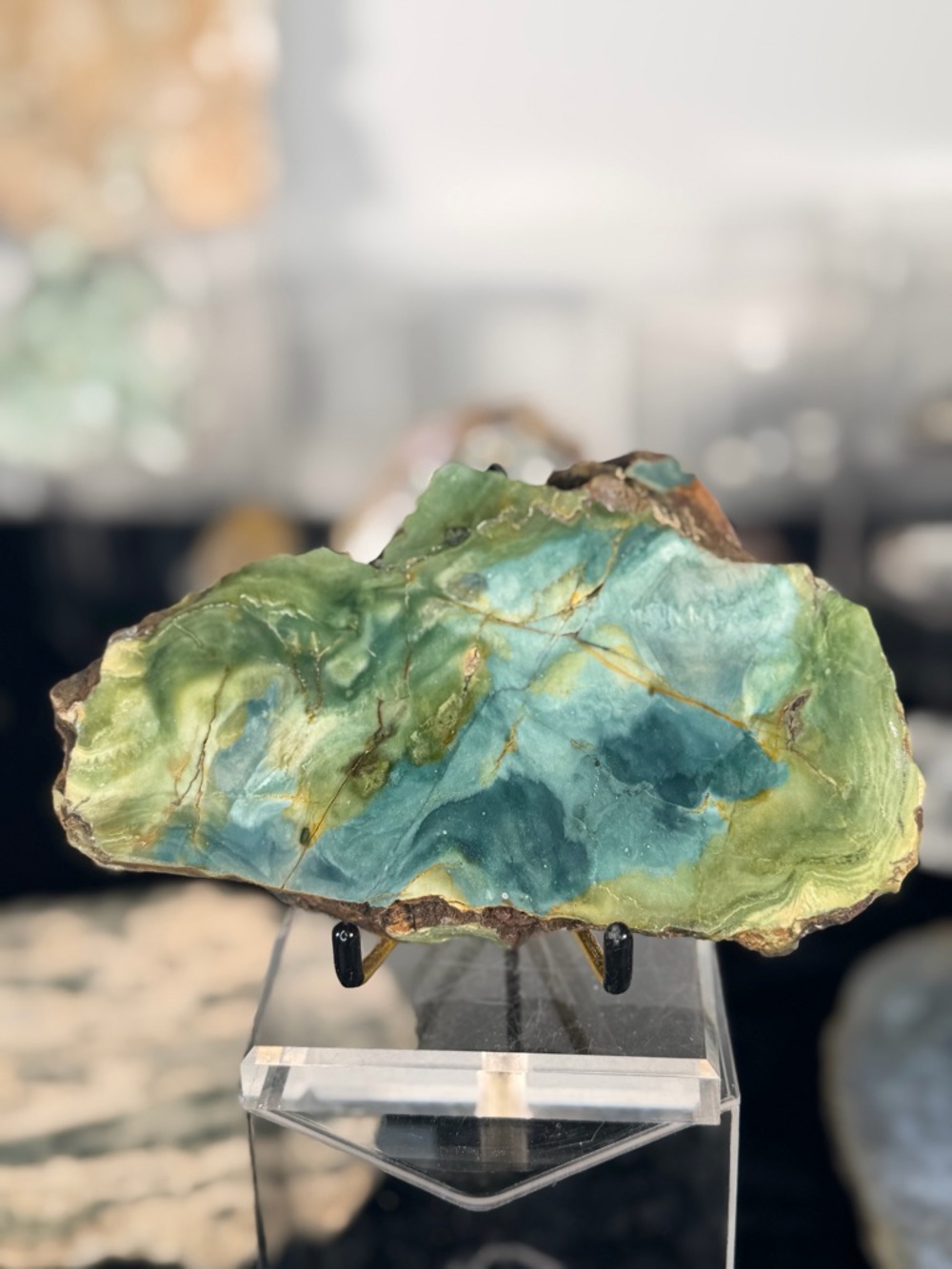 💎 Gary Green Bogwood Slab | Oregon | Earth & Ocean Tones Rare Petrified Bogwood